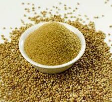 Growing Guide and Health Benefits of Coriander Spices