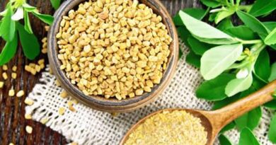 Growing Guide and Health Benefits of Fenugreek Seeds