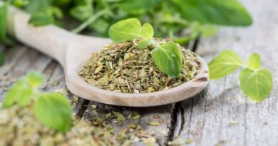 The Health Benefits of Using Marjoram Spice on your Cooking