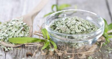 The Health Benefits of Using Tarragon Spice on your Cooking
