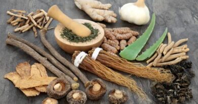 Everything You Need To Know About Adaptogenic Herbs