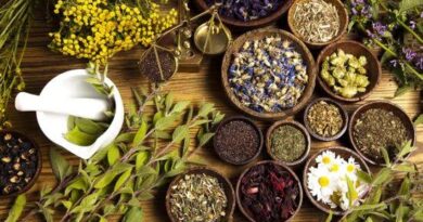 Everything You Need To Know About Herbs for High Blood Pressure