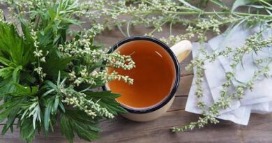The Health Benefits of Drinking Mugwort Tea