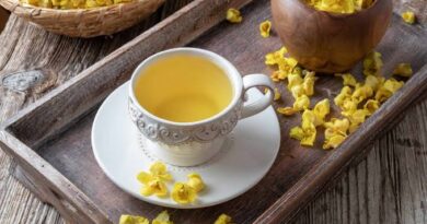 The Health Benefits of Drinking Mullein Tea