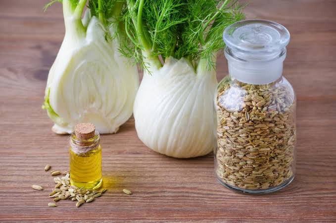 Growing Guide and Health Benefits of Fennel Seeds Growing Guide and Health Benefits of Fennel Seeds