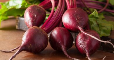 Complete Guide on How to Grow Beet