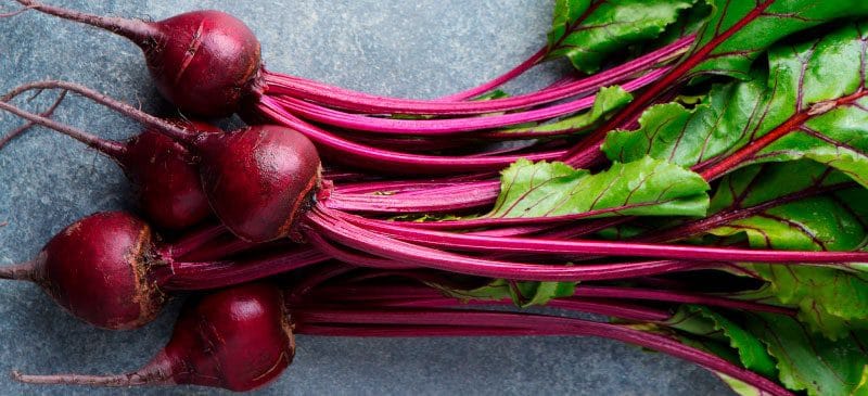 Complete Guide on How to Grow Beet Complete Guide on How to Grow Beet