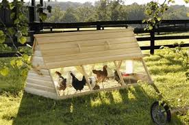 Plier la Production de Volailles de Système: Guide Complet de Prestations et de Gestion