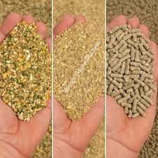 How to Make Your Own Chicken Feed: Poultry Feed Formulation GuideHow to Make Your Own Chicken Feed: Poultry Feed Formulation Guide
