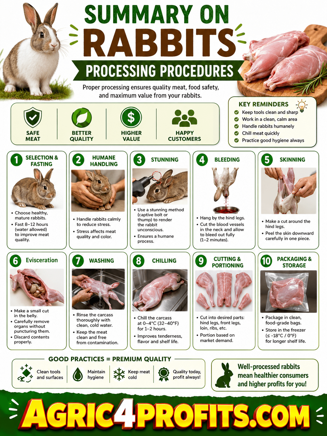 How To Process A Rabbit Rabbits Killing and Processing Procedures