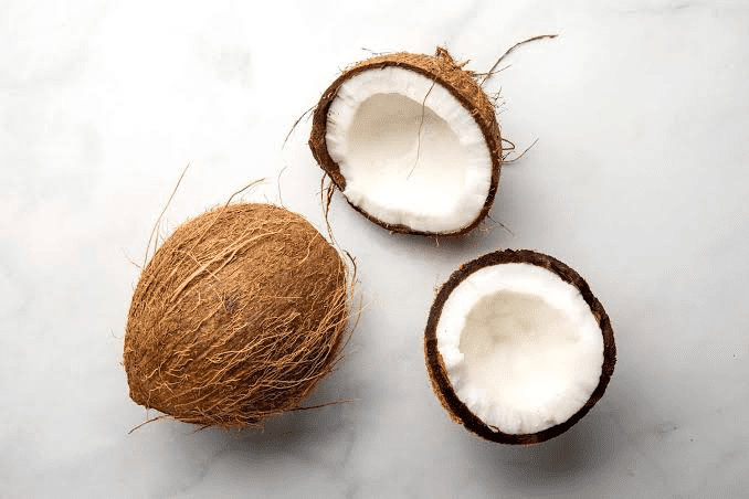 23 Medicinal Health Benefits Of Coconut (Cocos nucifera)