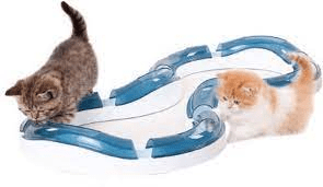 Cat Toys for Bored Cats to Keep Your Feline Friend Engaged