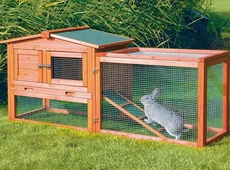 Guide To Your Rabbit Housing Requirements