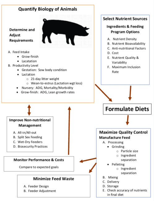 Nutrient Requirement of Pigs and Swine Feeding Methods
