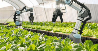 The Dawn of Farm Automation: Revolutionizing Agriculture for a Sustainable Future