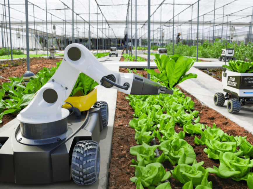 Farm Automation: Revolutionizing Agriculture for a Sustainable Future