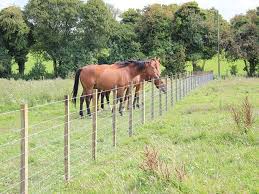 Different Types of Effective Range Fencing For Animals