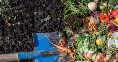 Composting: Meaning and Benefits of Composting