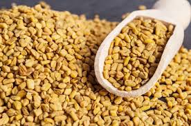 Cinnamon Seeds: Economic Importance, Uses, and By-Products Cinnamon Seeds