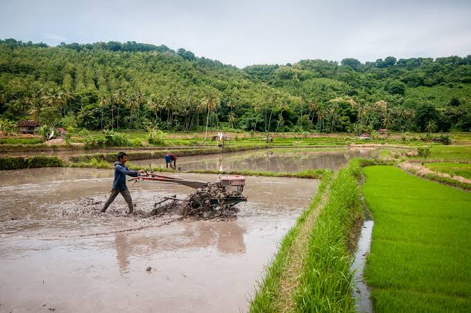 Land Clearing: Definition, Factors Affecting Land Clearing