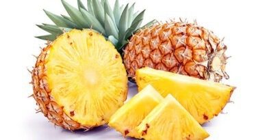 20 Medicinal Health Benefits Of Pineapple (Ananas comosus)