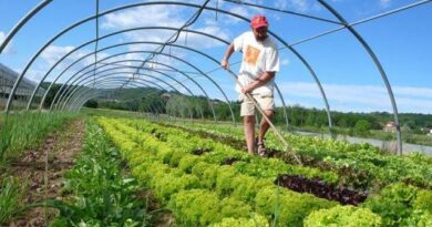 Crop Protection Measures in Organic Agriculture