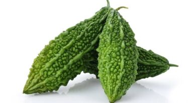 26 Medicinal Health Benefits Of Momordica charantia (Bitter Melon)