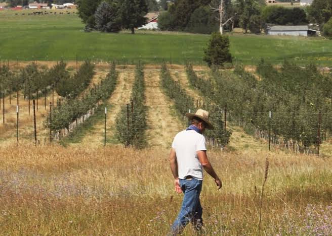 Pre-Planting Operations (Site Selection, Land Preparation)