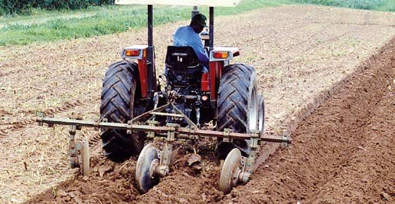 Pre-Planting Operations (Site Selection, Land Preparation)