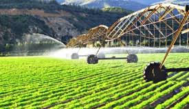 Soil Water Conservation in Organic Crop System Contents