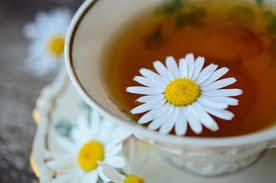 Health Benefits of Chamomile (Camomile)