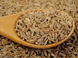 Health Benefits of Cumin Seeds (Cuminucum Cyminum)