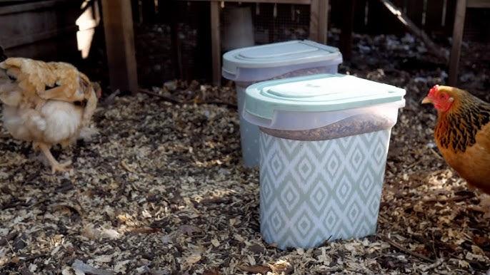 Combien De Temps Vous Pouvez Stocker Vos Alimentations De La Volaille Pour Vos Oiseaux