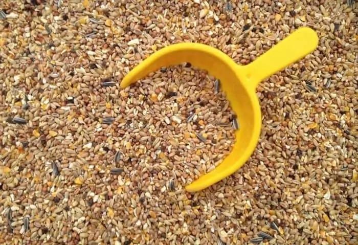 Poultry Feed Mixing
