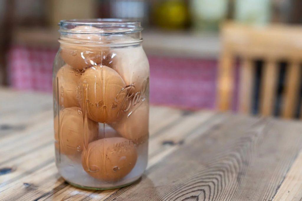 La Transformation des œufs et des Méthodes de conservation: Un Guide Pratique