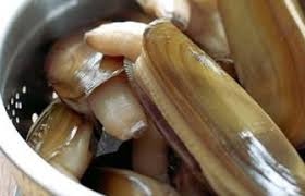 How to Farm and Care for Chinese Razor Clam (Sinonovacula constricta)