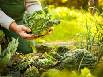 The Benefits of Permaculture and Regenerative Agriculture