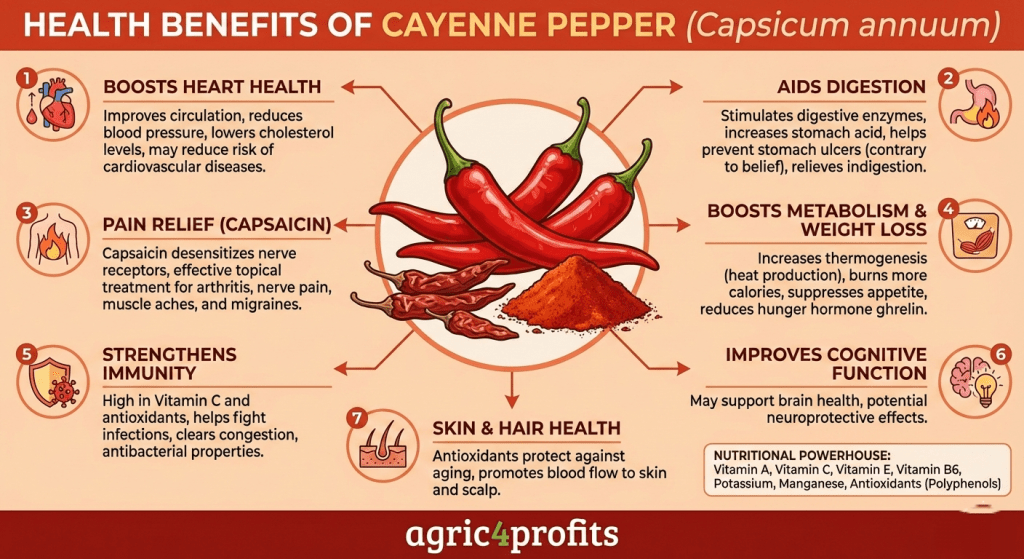 Health Benefits Cayenne Pepper