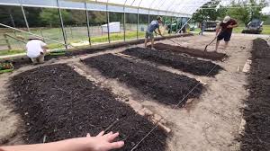 Guide on How to Start a No-till Garden Guide on How to Start a No-till Garden