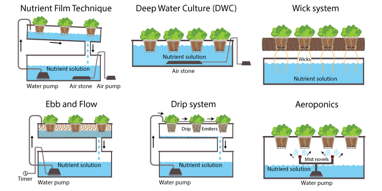 Hydroponic Farming Systems Types and Benefits of Hydroponic Farming Systems