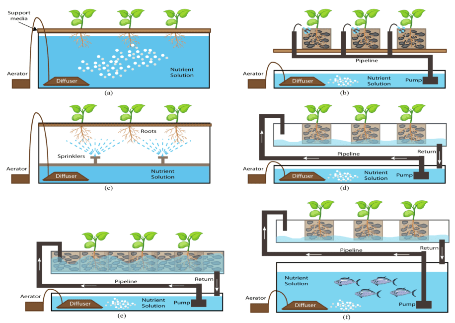 Hydroponic Farming Systems Hydroponic Farming Systems