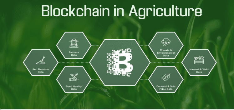 The Uses and Benefits of Blockchain Technology in Agriculture