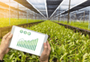 The Uses, Types, and Benefits of Blockchain Technology in Agriculture
