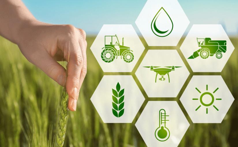 The Uses and Benefits of Blockchain Technology in Agriculture