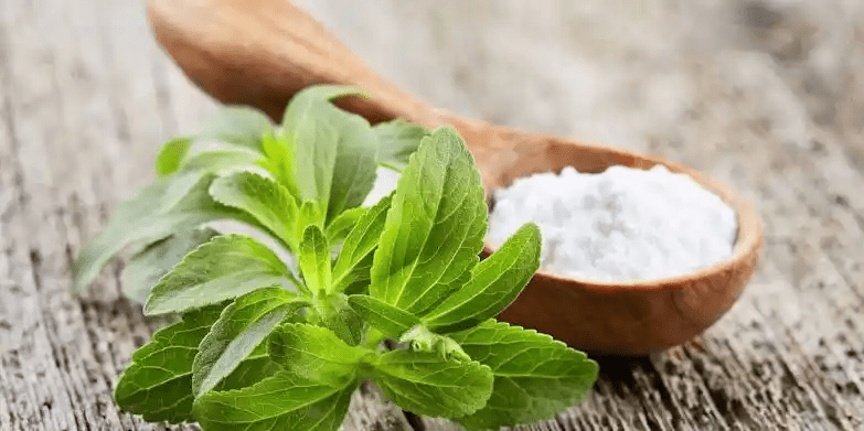 10 Medicinal Health Benefits Of Stevia rebaudiana (Sweet leaf) 10 Medicinal Health Benefits Of Stevia rebaudiana (Sweet leaf)