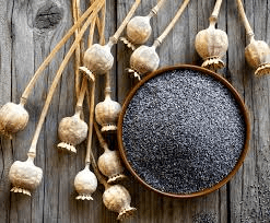 19 Medicinal Health Benefits Of Poppy Tea (Papaver somniferum)