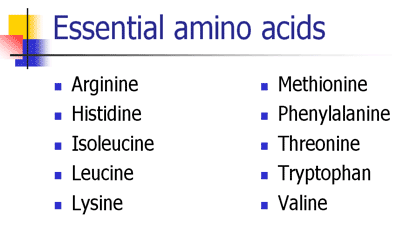 Importance of Amino Acids in Poultry Nutrition