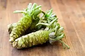 15 Medicinal Health Benefits Of Wasabi (Japanese Horseradish)
