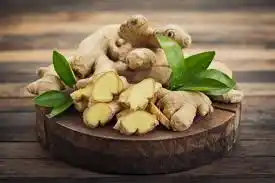 10 Medicinal Health Benefits of Zingiber (Ginger)