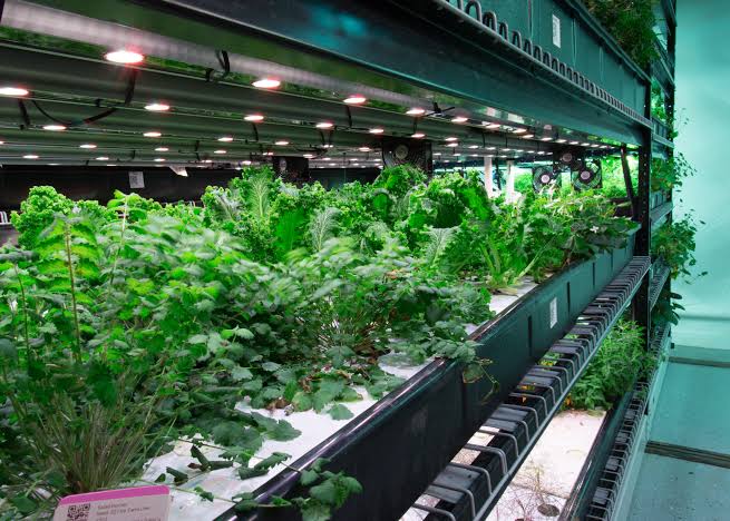 Hydroponic Farming Systems Hydroponic Farming Systems